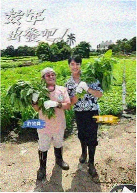旧唱片店 缩略图